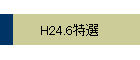 H24.6