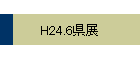 H24.6Ÿ