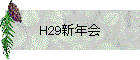 H29ǯ