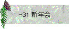 H31 ǯ