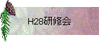 H28