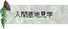 ִϸ