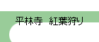 ʿӻռ